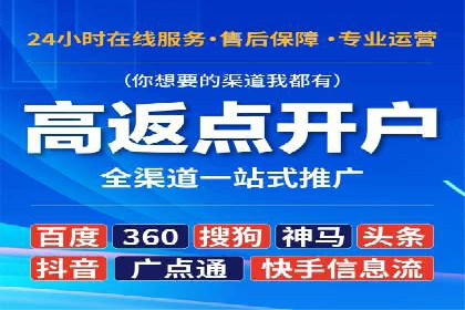 高效百度推广案例解析及优化策略